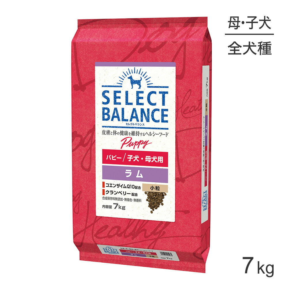 セレクトバランス パピー 子犬・母犬用 ラム 小粒 7kg (犬・ドッグ)