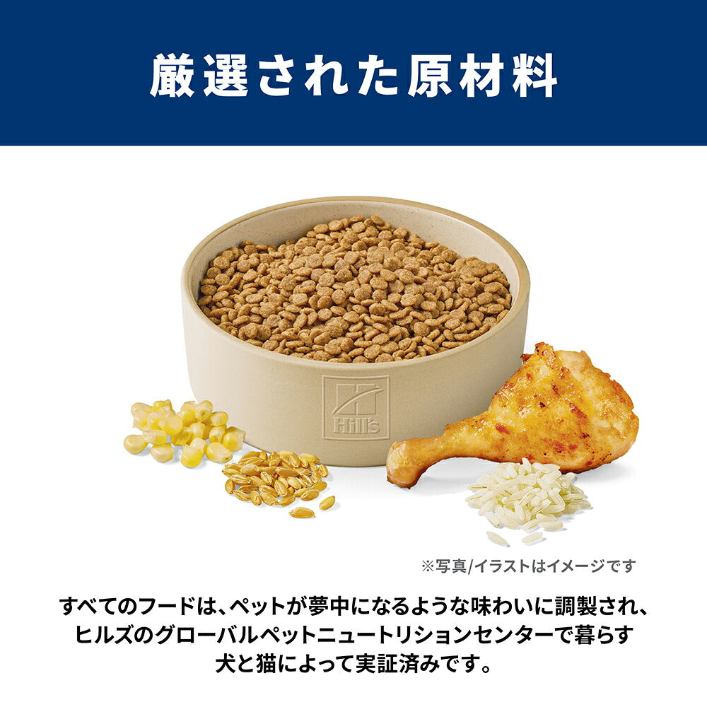 【3kg×2袋】ヒルズ サイエンス・ダイエット 小型犬用 アダルト 1~6歳 成犬用 チキン + ウェット チキン 缶 200g×1 おまけ付 (犬・ドッグ)