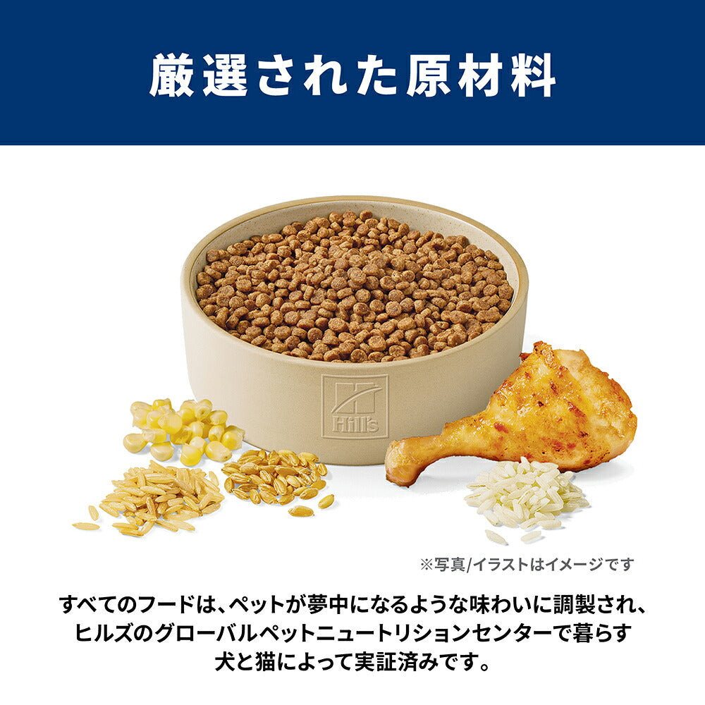 【3kg×2袋】ヒルズ サイエンス・ダイエット 小型犬用 シニア 7歳以上 高齢犬用 チキン (犬・ドッグ)