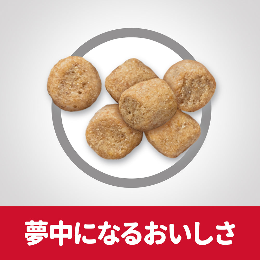 【2.8kg×4袋】ヒルズ サイエンス・ダイエット シニア アドバンスド 14歳以上 高齢猫用 チキン 保存容器おまけ付 (猫・キャット)