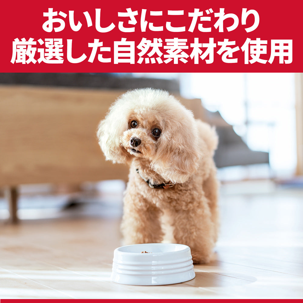 【2.5kg×4袋】ヒルズ サイエンス・ダイエット 室内 小型犬用 避妊・去勢後 1歳以上の成犬・高齢犬用 チキン 保存容器おまけ付 (犬・ドッグ)