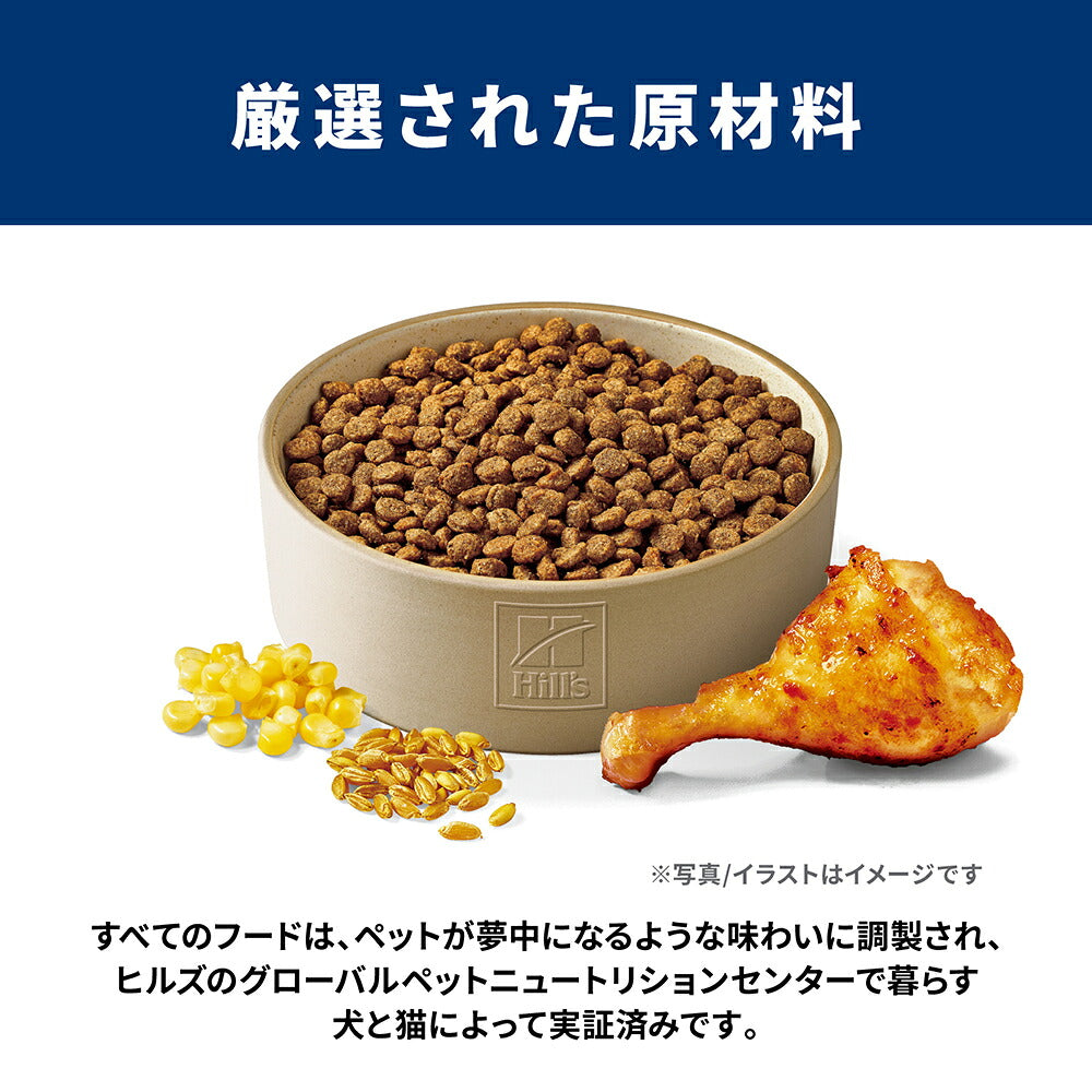 【6.5kg×2袋】ヒルズ サイエンス・ダイエット シニア 小粒 7歳以上 高齢犬用 チキン 保存容器おまけ付 (犬・ドッグ)