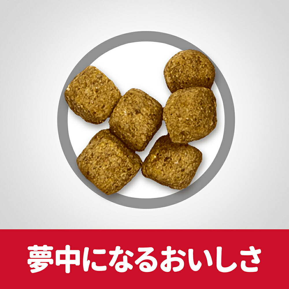 【6.5kg×3袋】ヒルズ サイエンス・ダイエット シニア ライト 小粒 7歳以上 肥満傾向の高齢犬用 チキン エコバッグおまけ付 (犬・ドッグ)