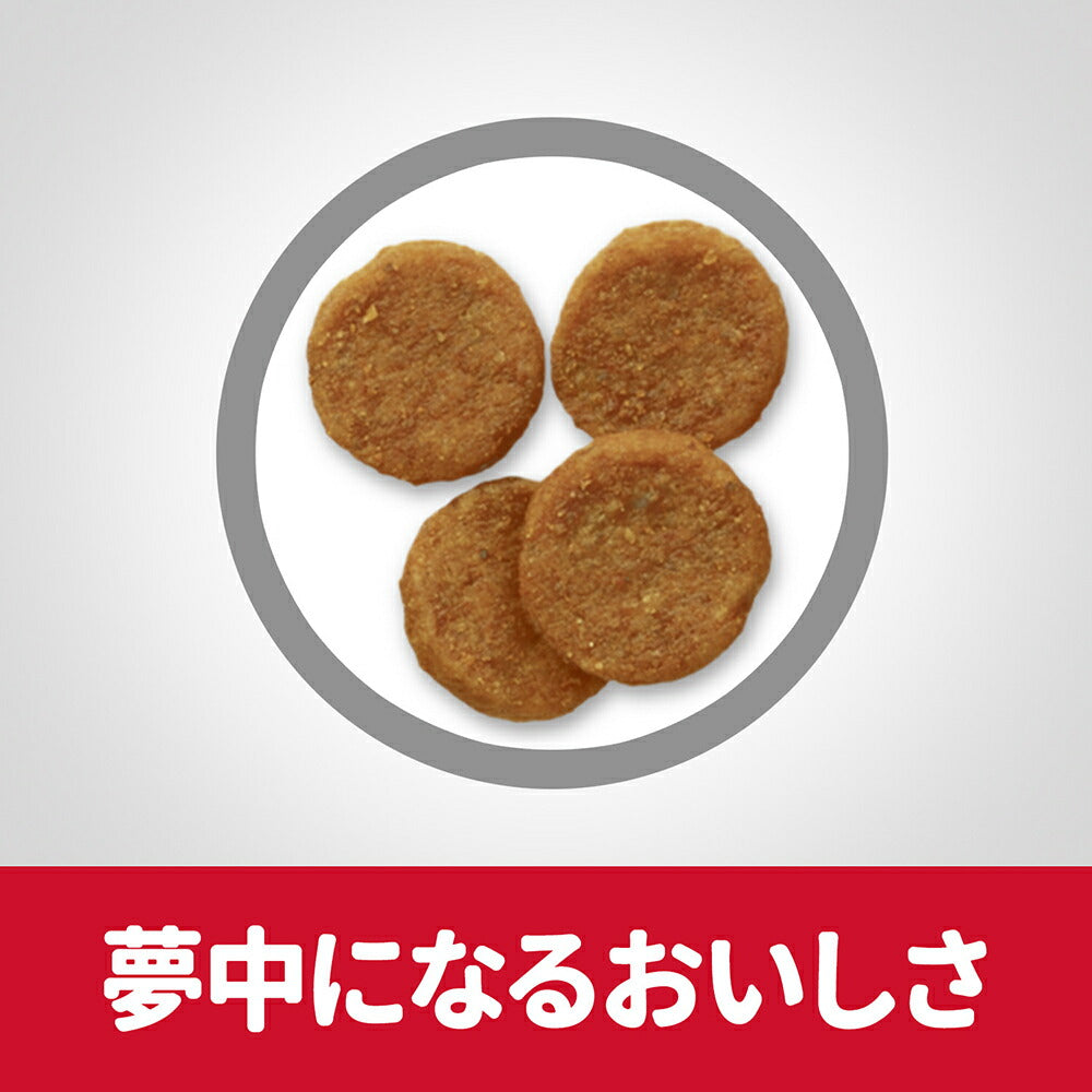 【6.5kg×2袋】ヒルズ サイエンス・ダイエット アダルト 中粒 1~6歳 成犬用 チキン 保存容器おまけ付 (犬・ドッグ)