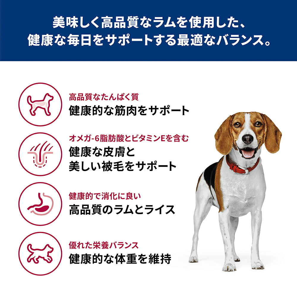 【6.5kg×2袋】ヒルズ サイエンス・ダイエット アダルト 小粒 1~6歳 成犬用 ラム&ライス (犬・ドッグ)