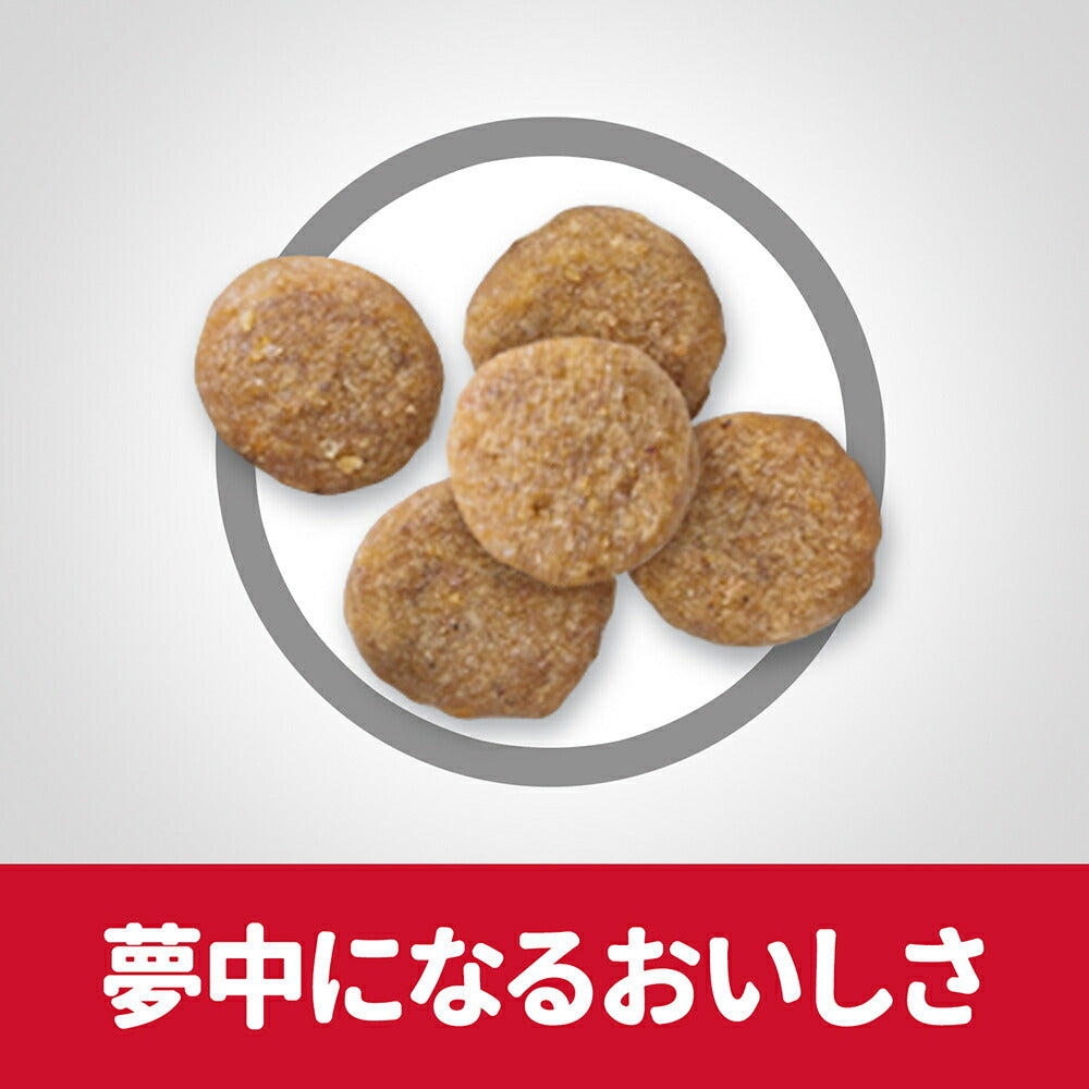 【1.4kg×6袋】ヒルズ サイエンス・ダイエット シニア 7歳以上 高齢猫用 チキン (猫・キャット)