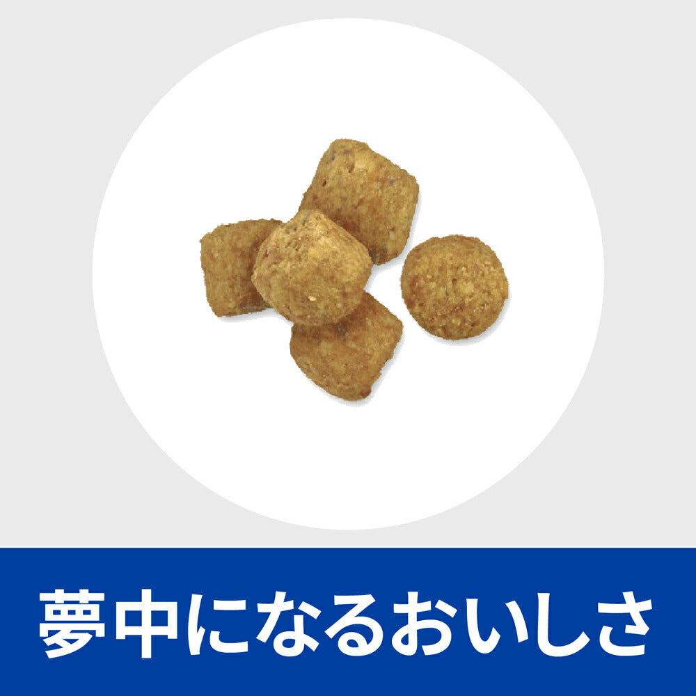 【1kg×3袋】ヒルズ r/d 減量 小粒 療法食 (犬・ドッグ)