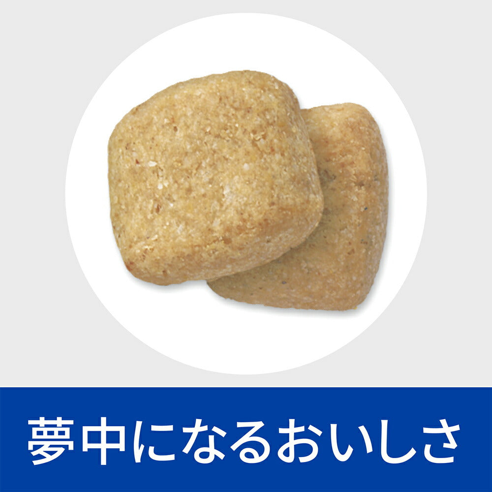 【1kg×3袋】ヒルズ t/d 歯と歯ぐきのケア 小粒 療法食 (犬・ドッグ)