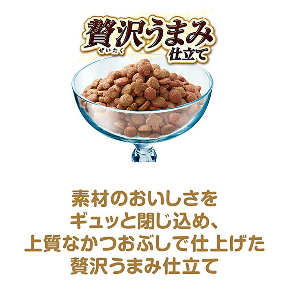 【1.4kg×6袋】ユニ・チャーム 銀のスプーン 贅沢うまみ仕立て 健康に育つ子ねこ用 まぐろ・かつお・煮干し・白身魚・しらす入り (猫・キャット)