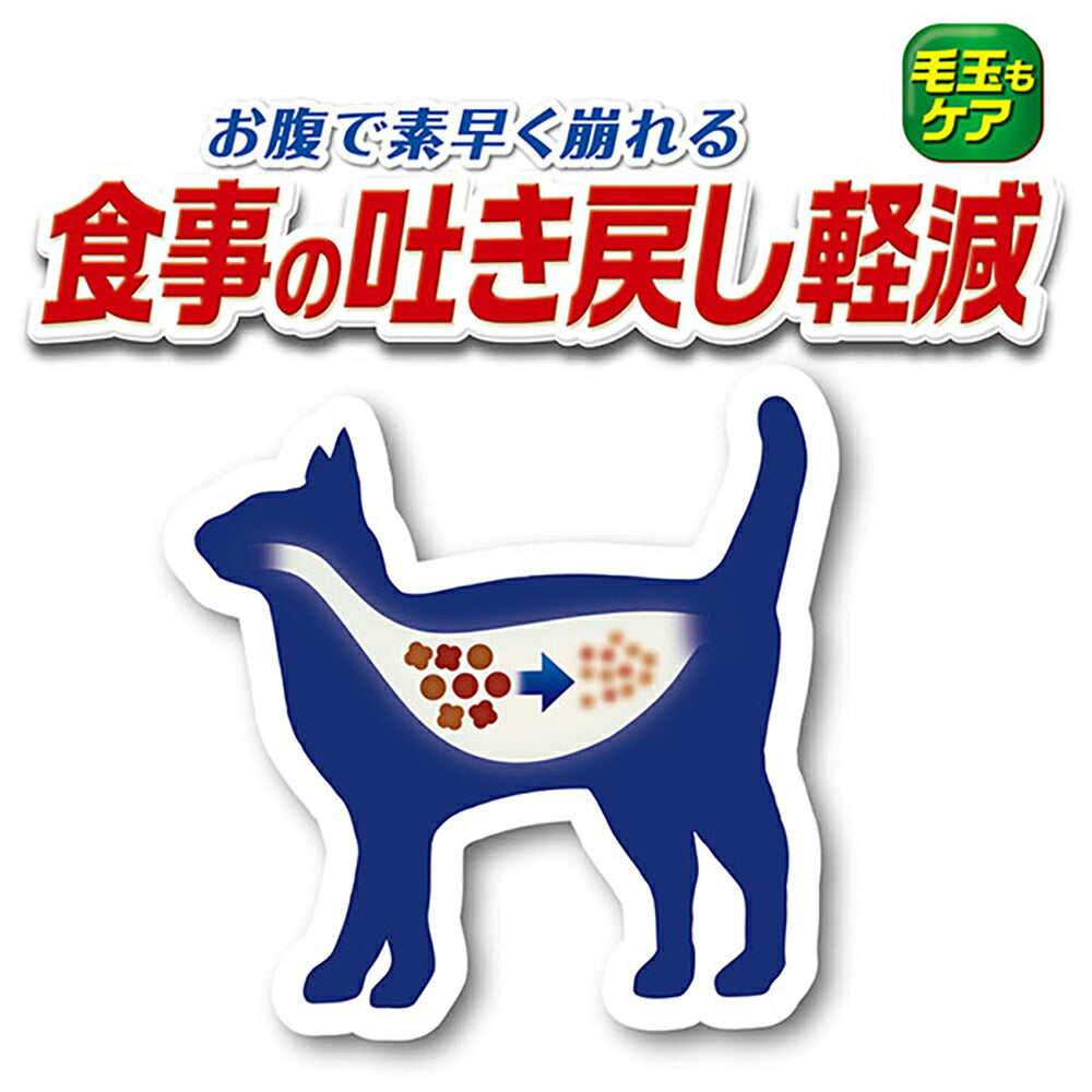【800g×8袋】ユニ・チャーム 銀のスプーン 贅沢うまみ仕立て 食事の吐き戻し軽減フード 成猫用 まぐろ・かつお・煮干し・白身魚・しらす入り (猫・キャット)