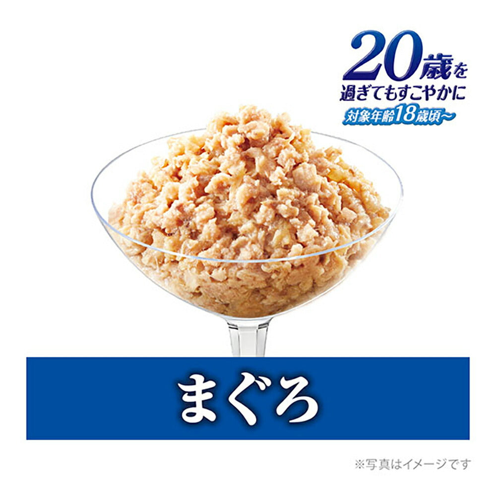 【60g×160袋】ユニ・チャーム 銀のスプーン パウチ 20歳を過ぎてもすこやかに まぐろ ウェット (猫・キャット)