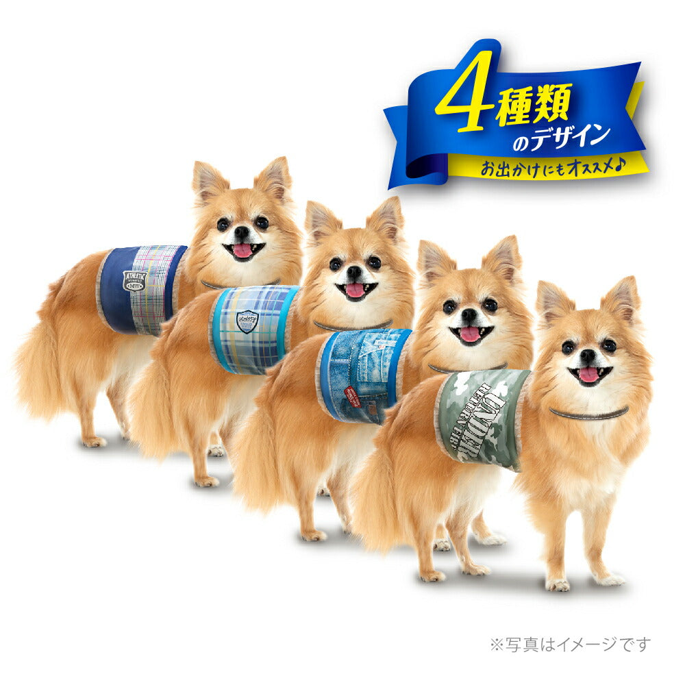 【4枚×2袋】ユニ・チャーム マナーウェア 男の子用 SSSサイズ 超小型犬用 4種のデザインパック おむつ (犬・ドッグ)