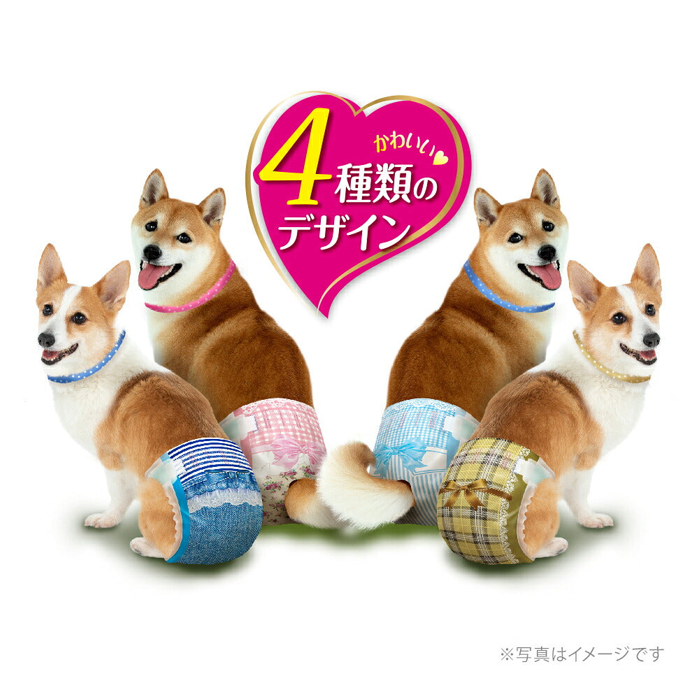 【4枚×4袋】ユニ・チャーム マナーウェア 女の子用 Lサイズ 中型犬用 4種のデザインパック おむつ (犬・ドッグ)