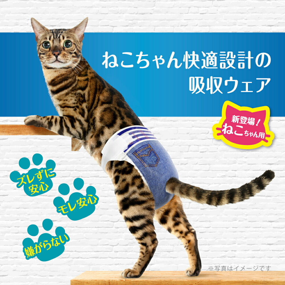 【36枚×2袋】ユニ・チャーム マナーウェア ねこ用 Mサイズ おむつ (猫・キャット)