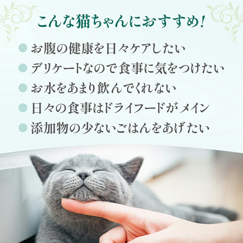 【80g×6缶】ペットプロジャパン HappyDays シェリー Cherie まぐろ&キウイinグレービー お腹の健康維持 成猫用 ウェット (猫・キャット)