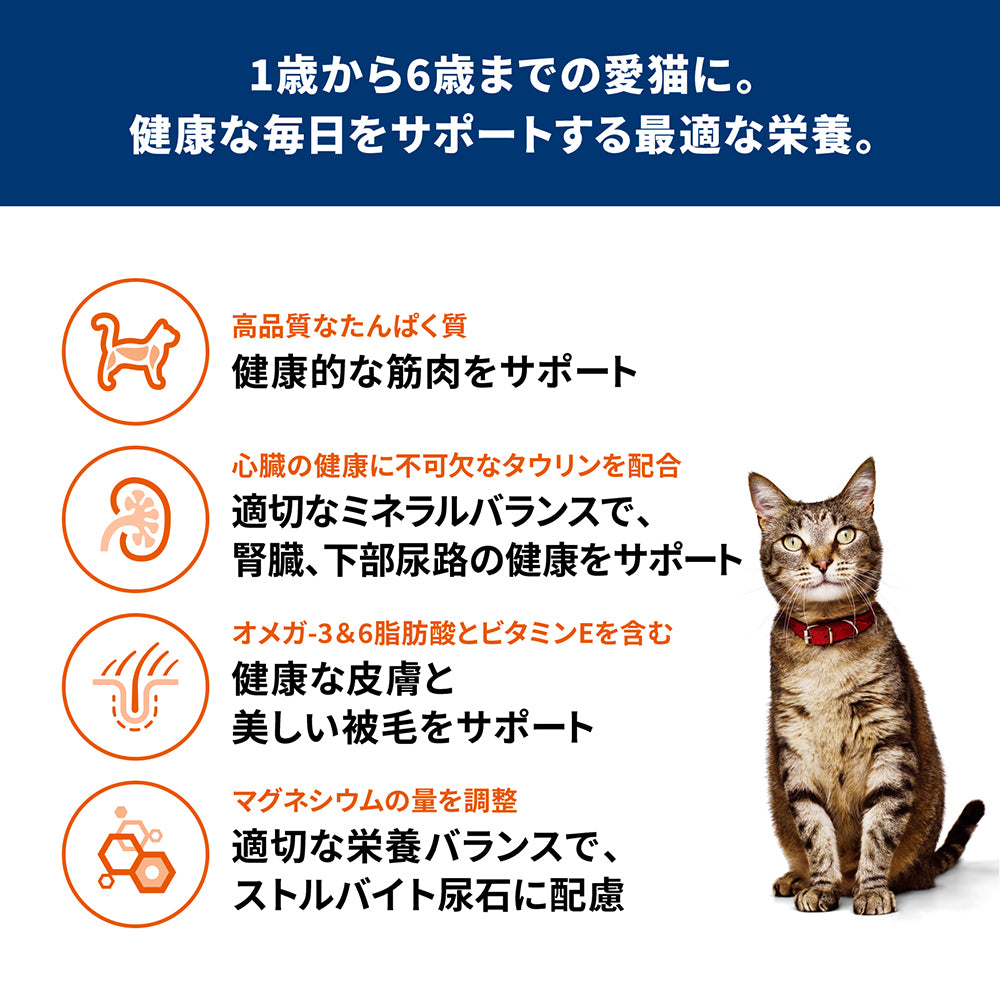 【メール便】【100g×3袋】ヒルズ サイエンス・ダイエット アダルト 1~6歳 成猫用 チキン お試し (猫・キャット)