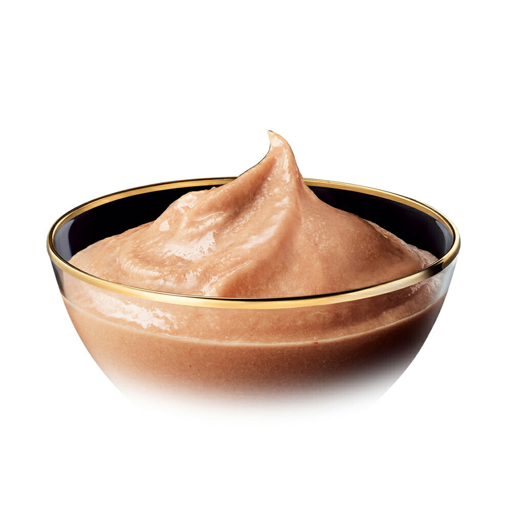 シーバ とろ~りメルティ 贅沢シーフードセレクション 12g×40本 (猫・キャット)