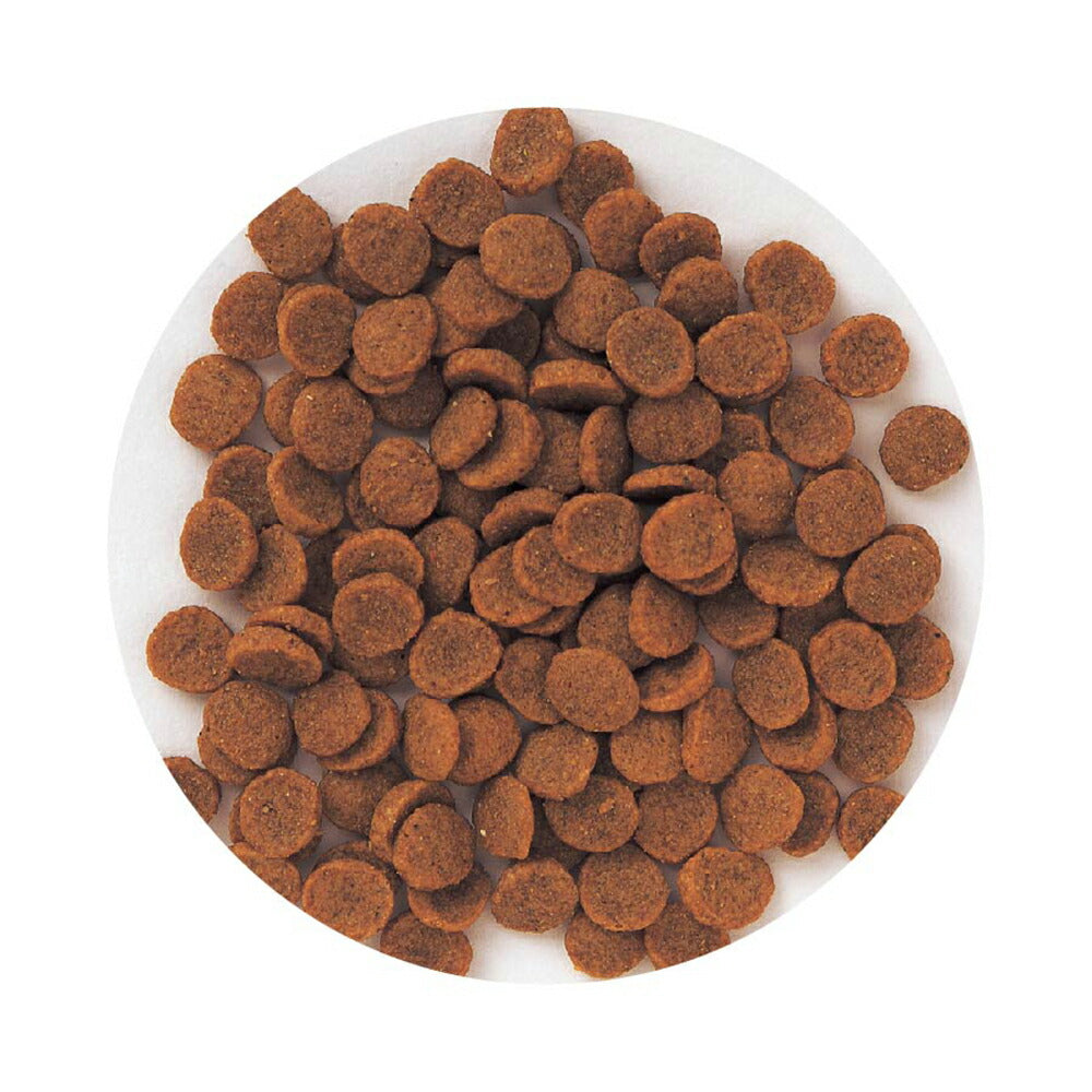 森乳 スーパーゴールド フィッシュ&ポテト 子犬・成犬用 2.4kg (犬・ドッグ)