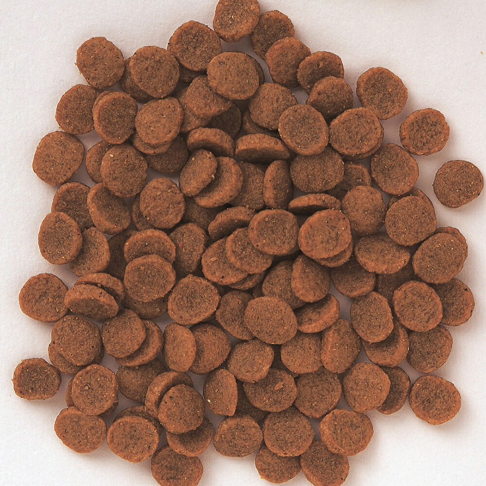 森乳 スーパーゴールド フィッシュ&ポテト 子犬・成犬用 7.5kg (犬・ドッグ)