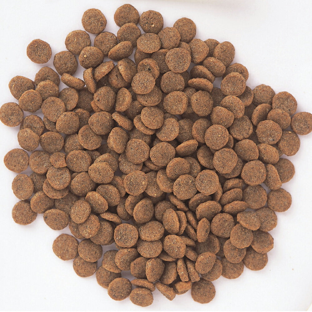 森乳 スーパーゴールド フィッシュ&ポテト ダイエットライト 800g (犬・ドッグ)