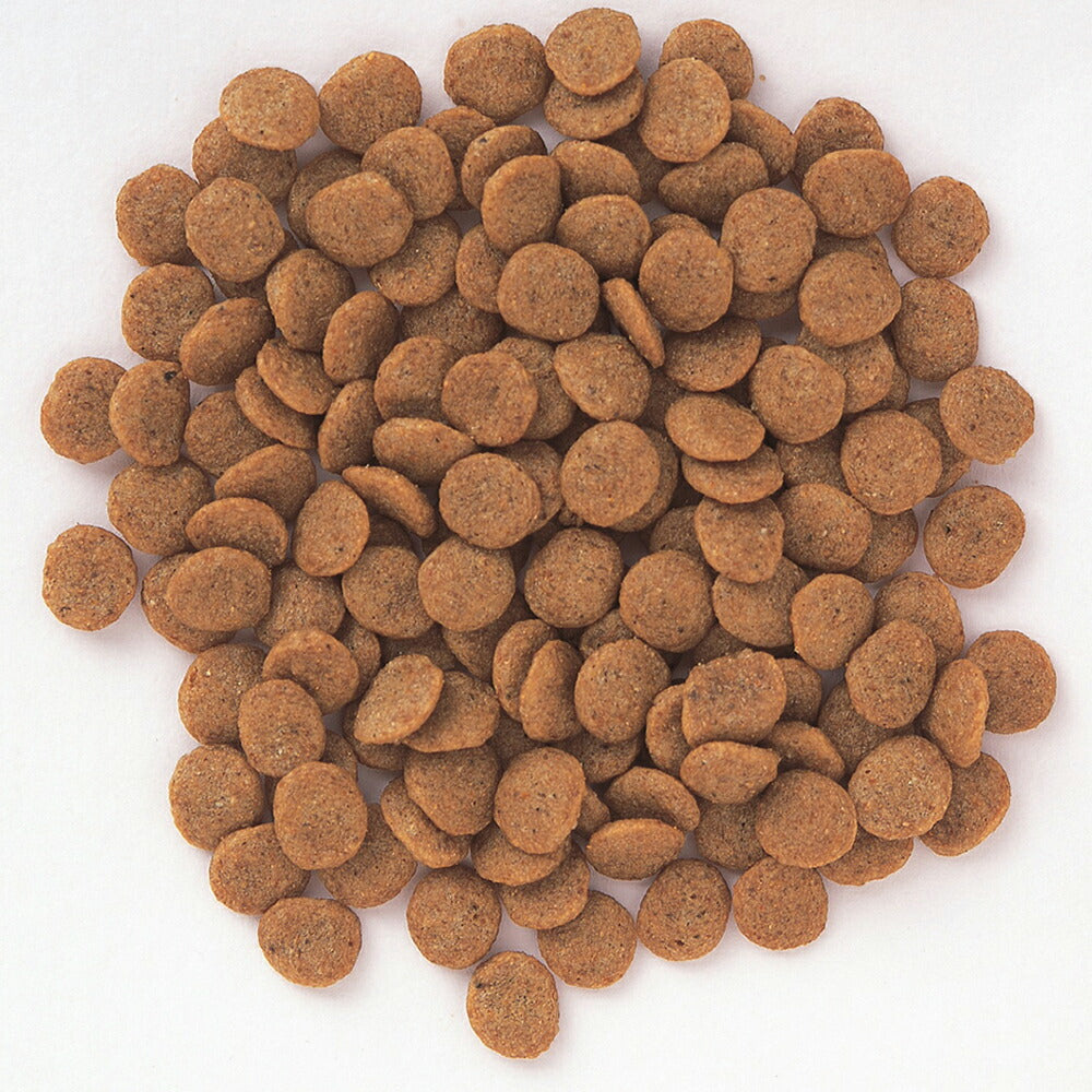 森乳 スーパーゴールド フィッシュ&ポテト シニアライト 7.5kg (犬・ドッグ)