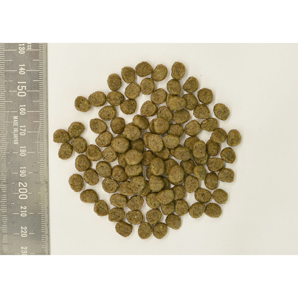 森乳 スーパーゴールド フィッシュ&ポテトプラス 関節の健康 7.5kg (犬・ドッグ)