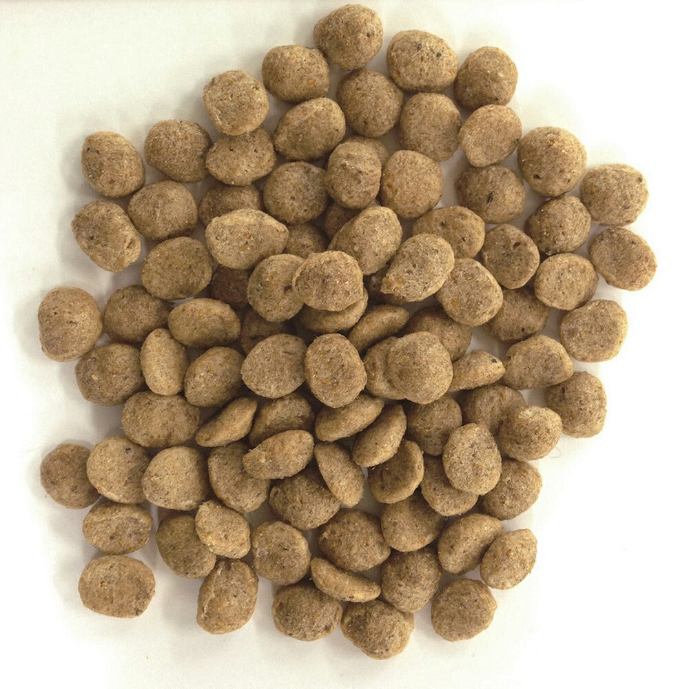 森乳 スーパーゴールド フィッシュ&ポテトプラス ライト 肥満・関節の健康 2.4kg (犬・ドッグ)