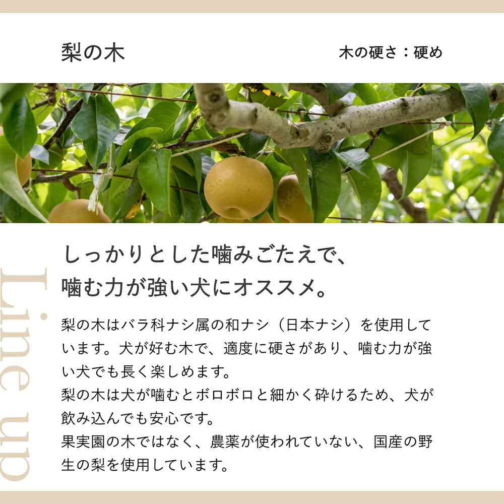 たかくら新産業 Chew for more trees チューフォーモアトリーズ 梨 M 20cm 中型~大型犬 (犬・ドッグ)