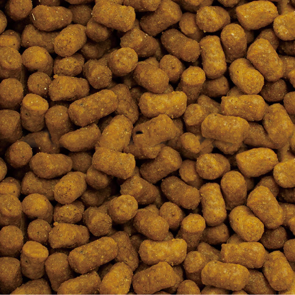 ベッツセレクション 猫用 pHケア プラスステージ 療法食 400g (猫・キャット)