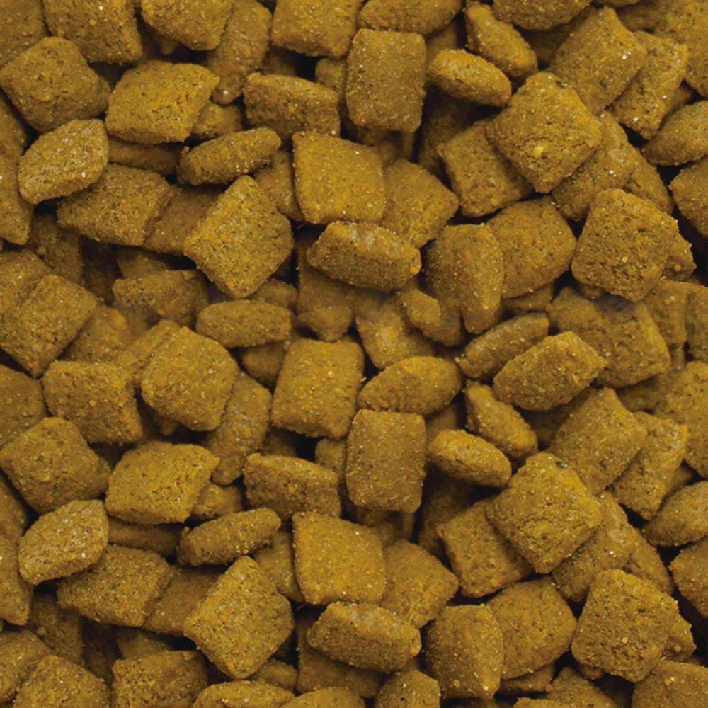 ベッツセレクション 猫用 pHケア マイナスステージ 療法食 400g (猫・キャット)