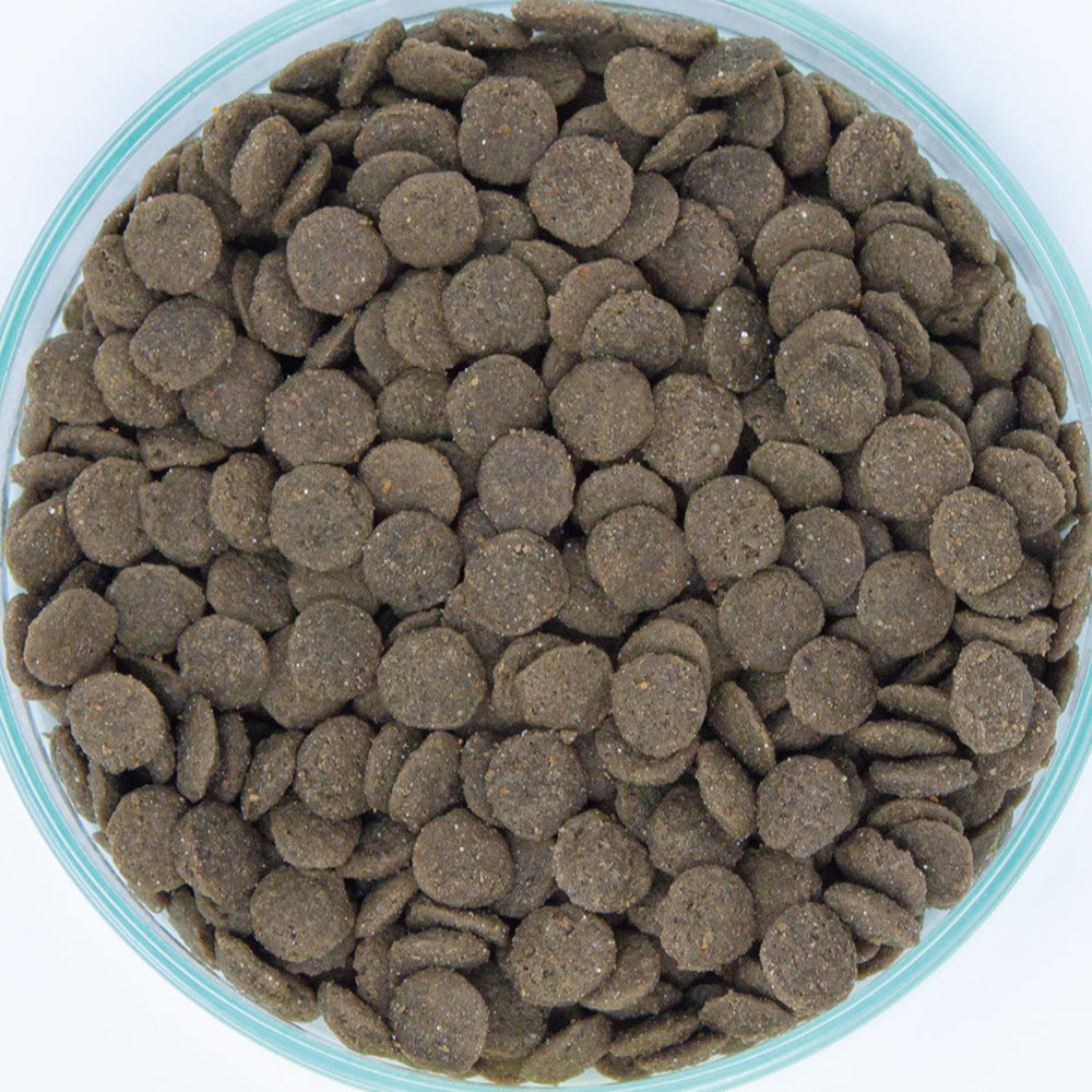 ベッツセレクション 猫用 腎ケア BPレーベル 療法食 400g (猫・キャット)