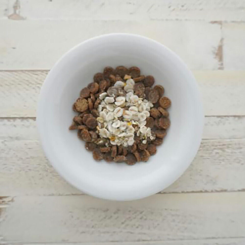 ホワイトフォックス BASE DELI ベースデリ 手づくりごはんベース 無添加 500g (犬・ドッグ) white fox