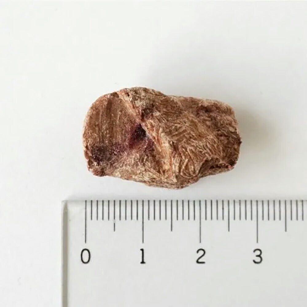 ホワイトフォックス 国産牛レバーのフリーズドライ 無添加 120g (犬猫兼用) white fox