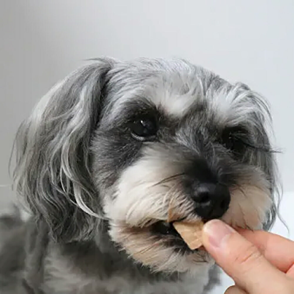 ホワイトフォックス 国産マグロのフリーズドライ 無添加 100g (犬猫兼用) white fox