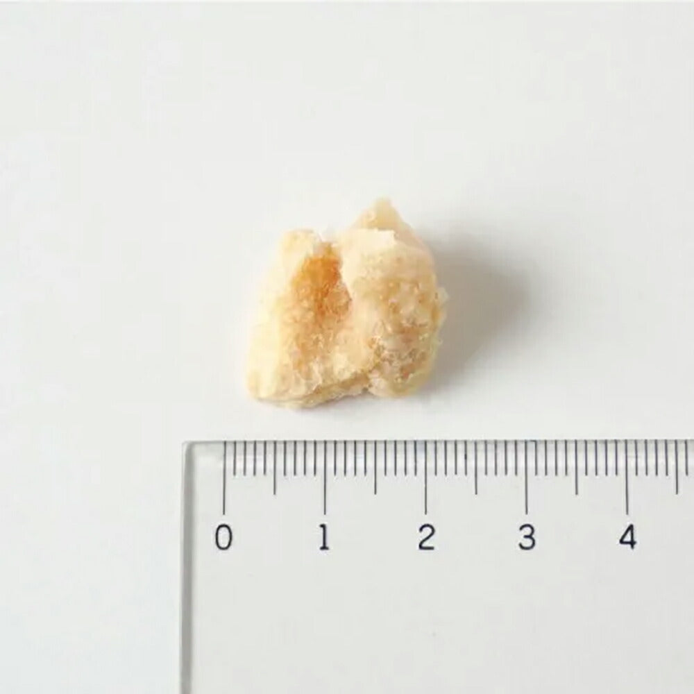 ホワイトフォックス 鶏むね肉のフリーズドライ 犬用 無添加 165g (犬・ドッグ) white fox