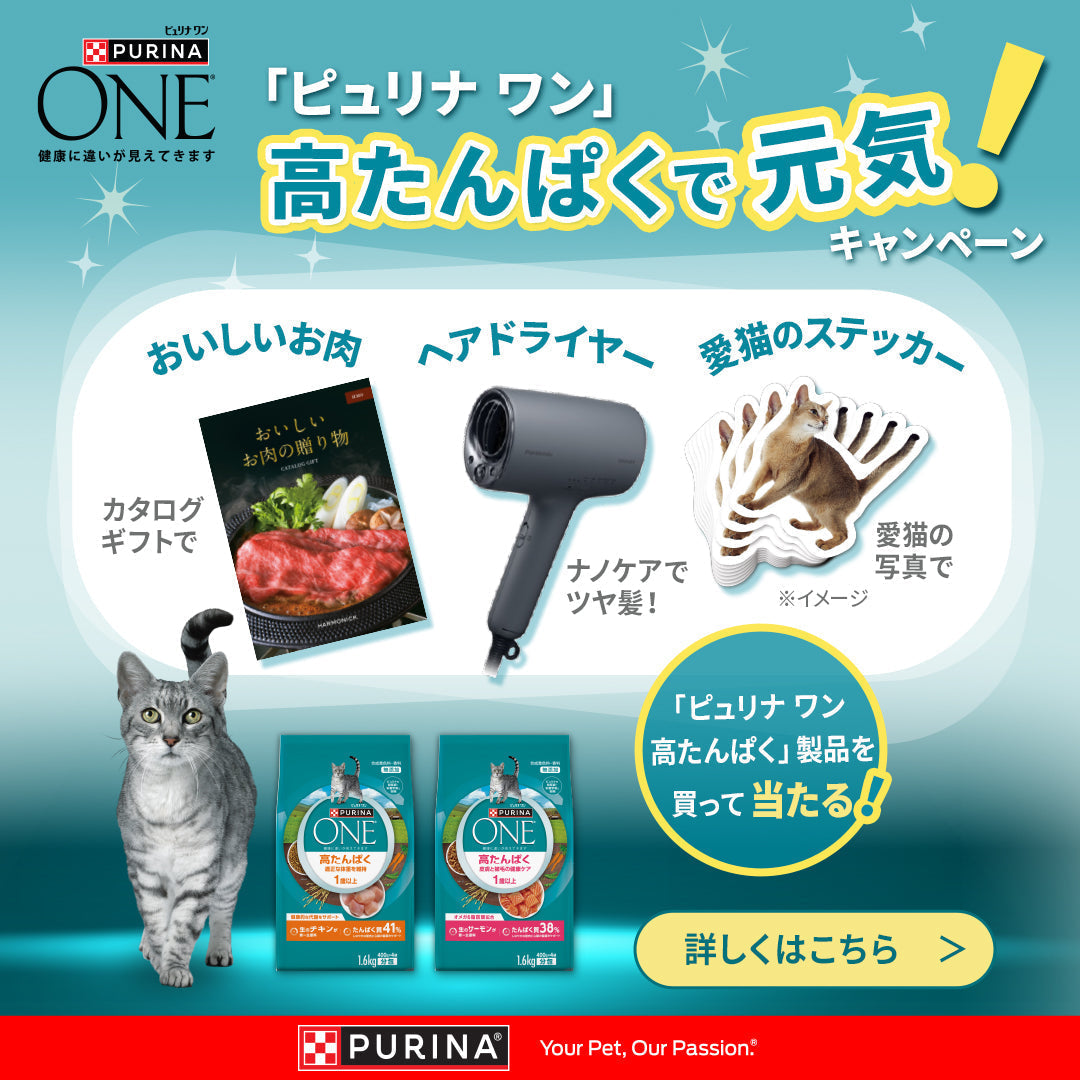 「ピュリナ ワン」高たんぱくで元気キャンペーン