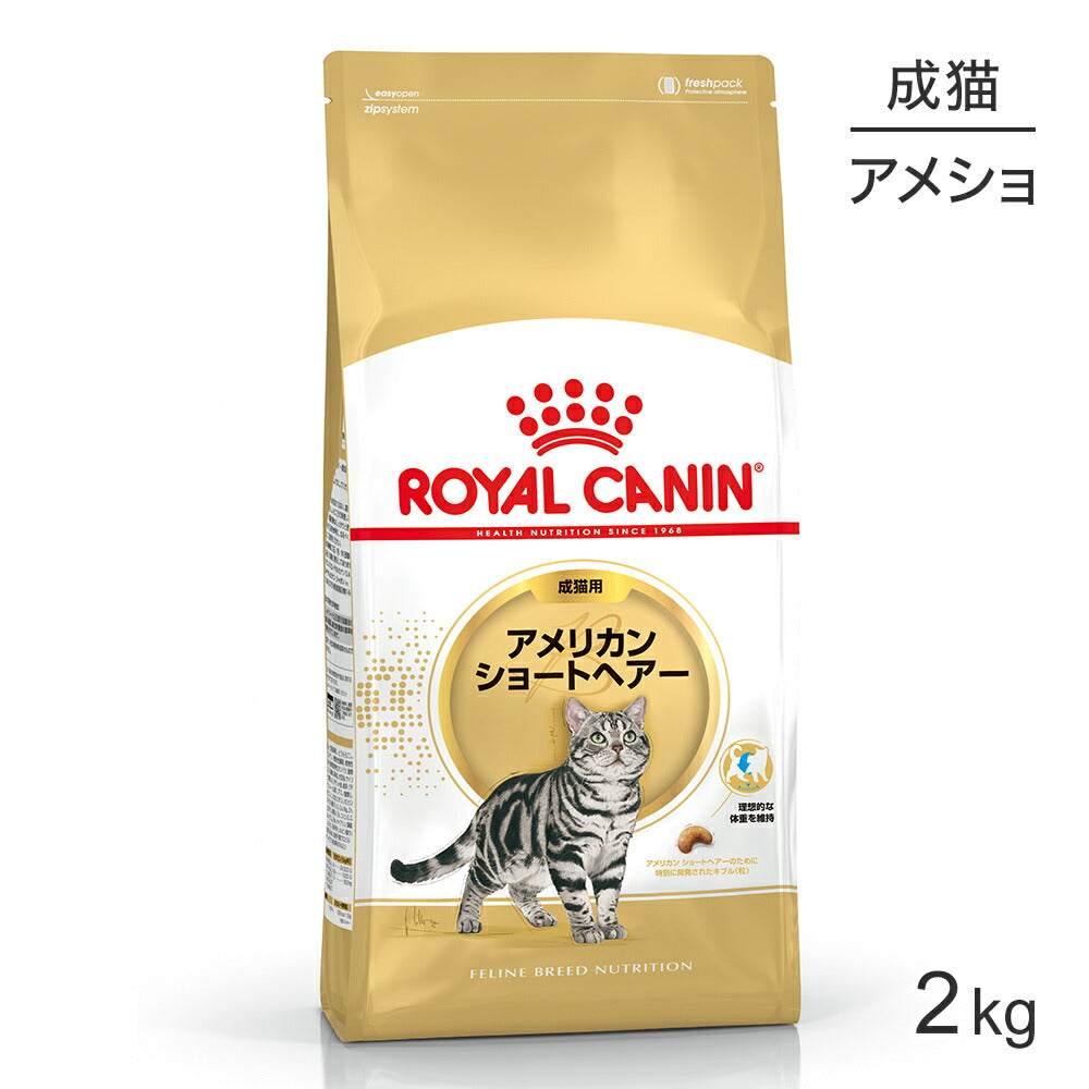 ロイヤルカナン FBN アメリカン ショートヘアー 成猫用 生後12ヵ月齢から12歳まで 2kg (猫・キャット)[正規品]