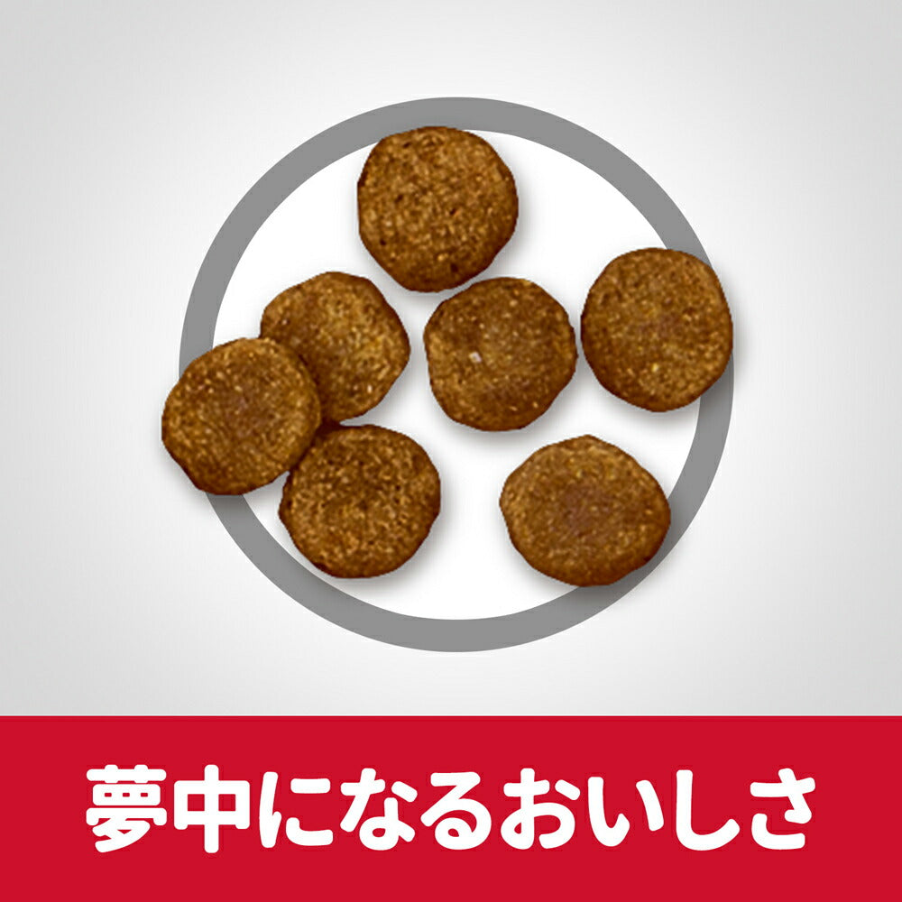 【1.5kg×6袋】ヒルズ サイエンス・ダイエット 小型犬用 シニア 7歳以上 高齢犬用 チキン (犬・ドッグ)