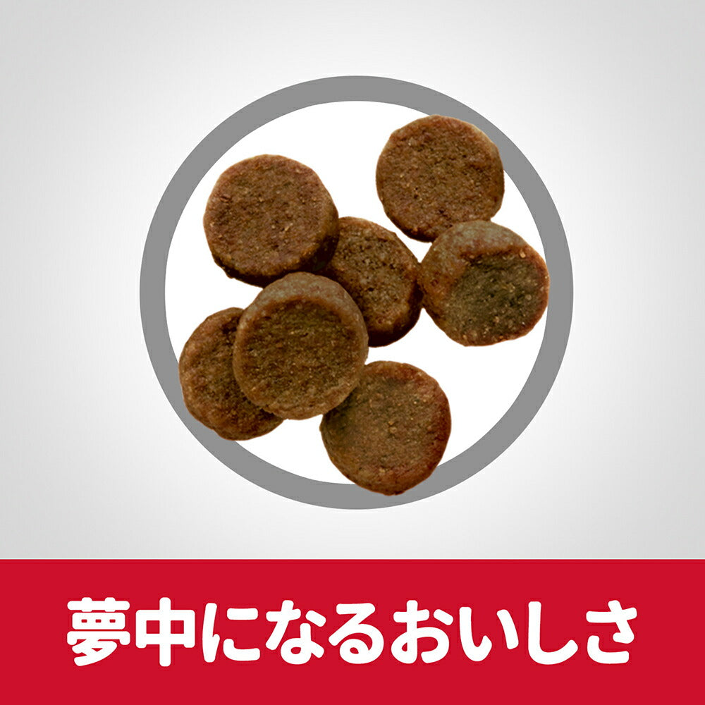 【12kg×2袋】ヒルズ サイエンス・ダイエット 大型犬用 パピー 18ヶ月まで 子犬用 チキン (犬・ドッグ)