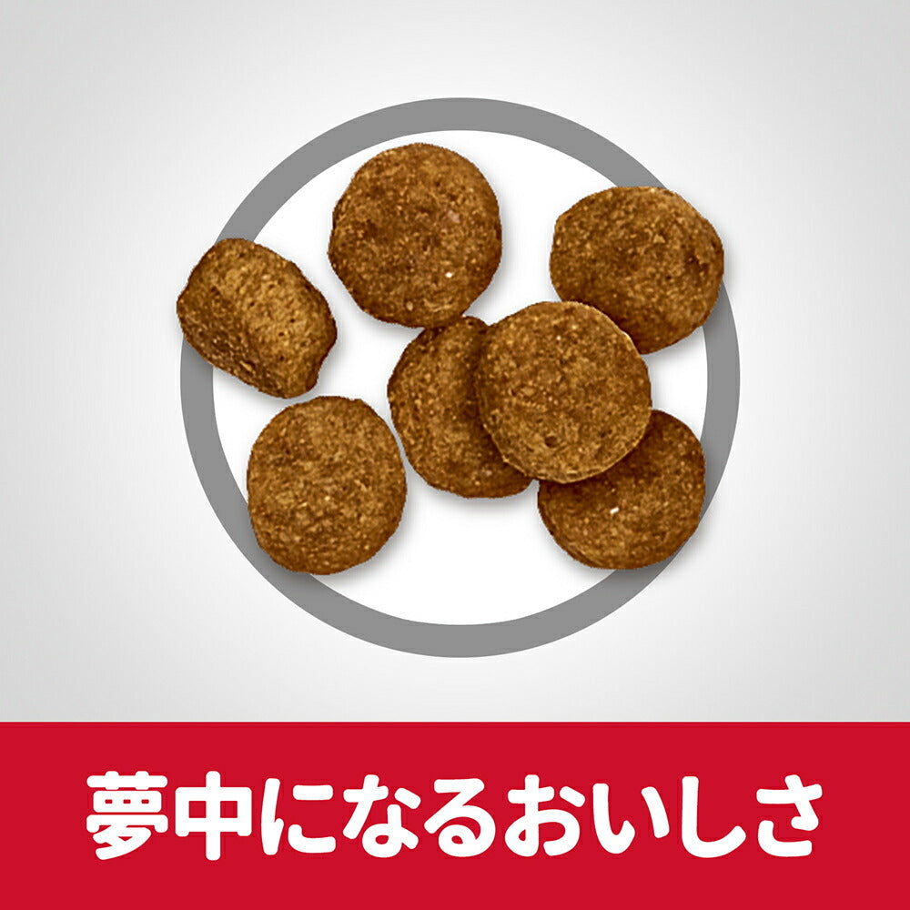 ヒルズ サイエンス・ダイエット シニア 小粒 7歳以上 高齢犬用 チキン 保存容器おまけ付 12kg (犬・ドッグ)