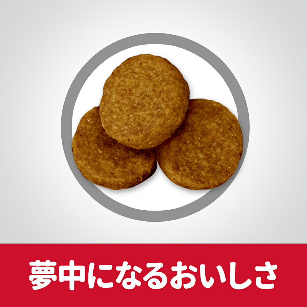 ヒルズ サイエンス・ダイエット 大型犬用 シニア 6歳以上 高齢犬用 チキン 12kg (犬・ドッグ)