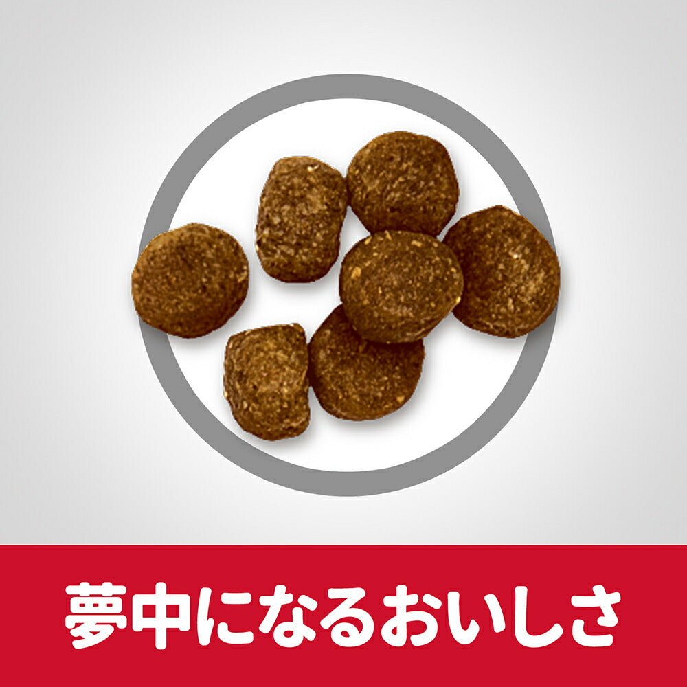 ヒルズ サイエンス・ダイエット シニア プラス 小粒 10歳以上 高齢犬用 チキン 保存容器おまけ付 12kg (犬・ドッグ)