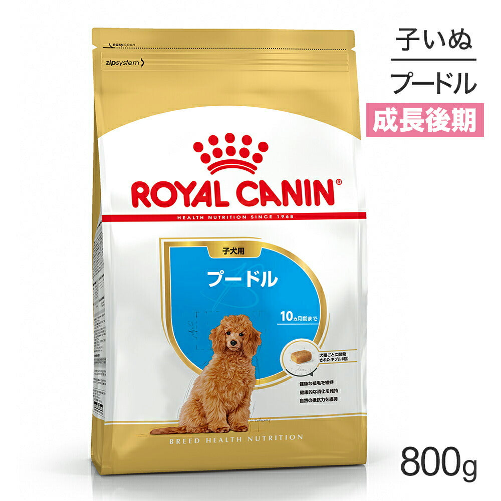 [賞味期限2026/3/8]ロイヤルカナン BHN プードル 子犬用 生後10ヵ月齢まで 800g (犬・ドッグ)[正規品]