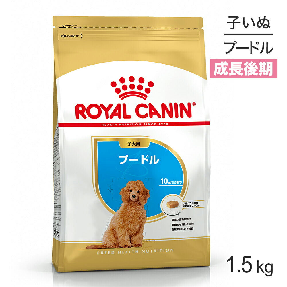 ロイヤルカナン BHN プードル 子犬用 生後10ヵ月齢まで 1.5kg (犬・ドッグ)[正規品]
