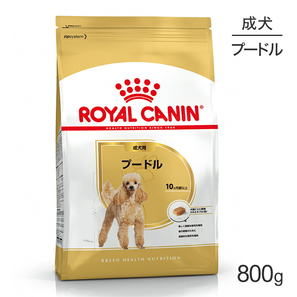 ロイヤルカナン BHN プードル 成犬用 生後10ヵ月齢以上 800g (犬・ドッグ)[正規品]