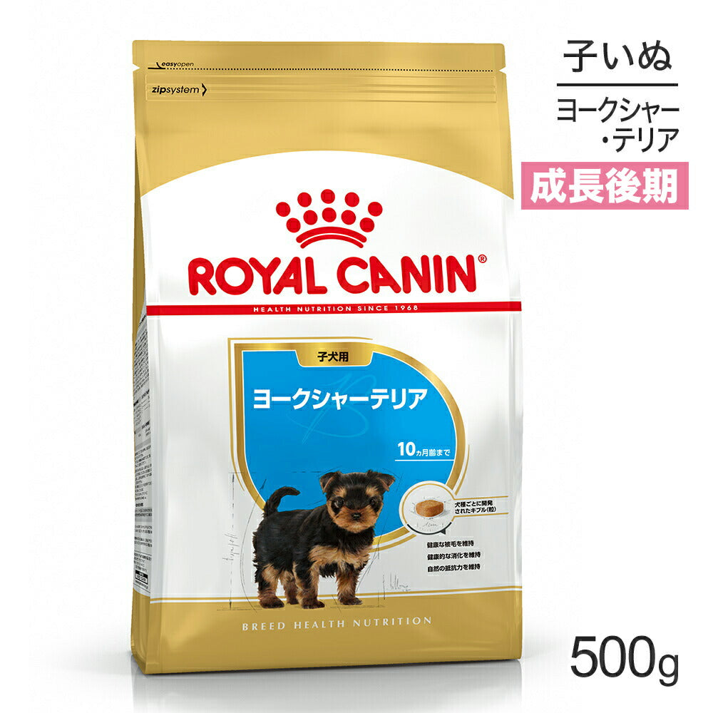 [賞味期限2026/8/3]ロイヤルカナン ヨークシャーテリア 子犬用 500g (犬・ドッグ) [正規品]
