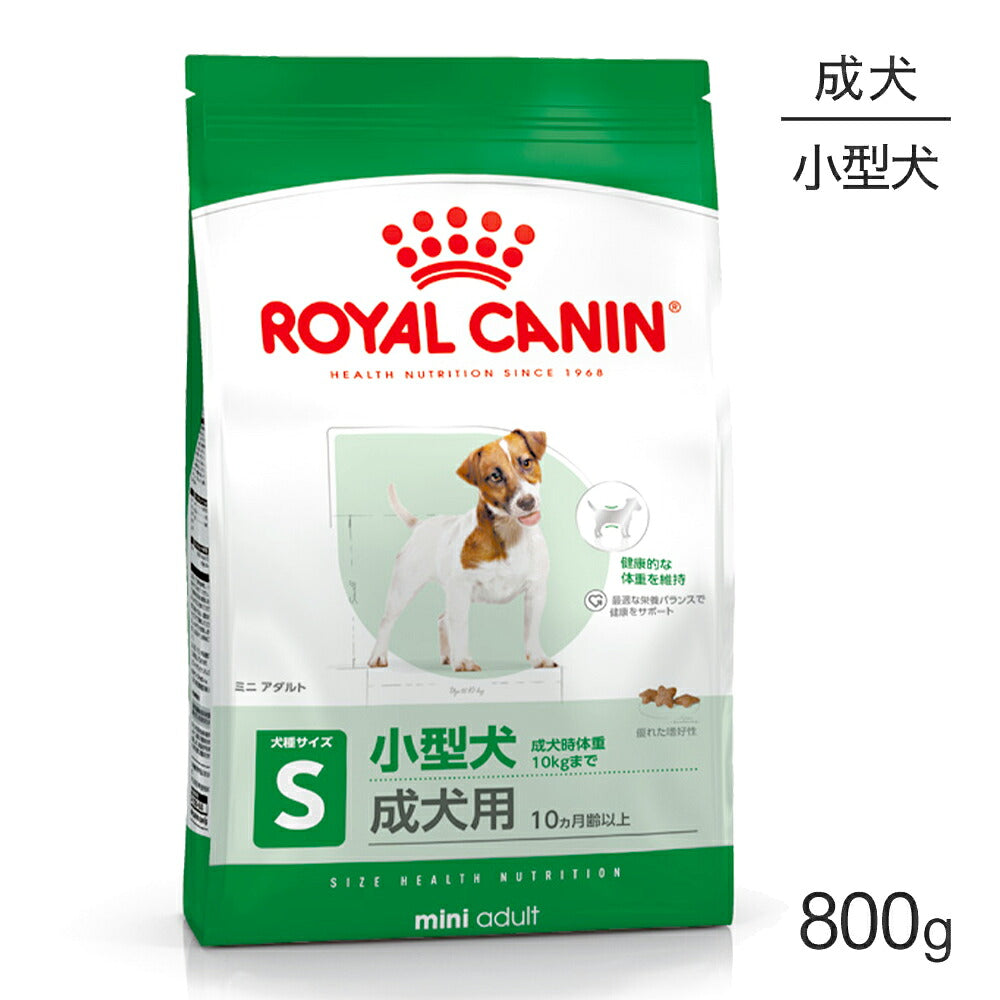 ロイヤルカナン SHN ミニ アダルト 小型犬 成犬用 生後10ヵ月齢以上 800g (犬・ドッグ)[正規品]
