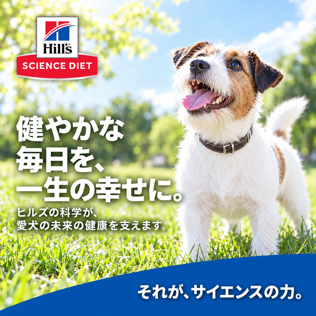 サイエンスダイエット