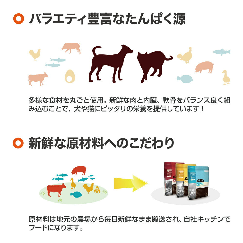 [賞味期限2026/12/10]アカナ ハイエストプロテイン グラスランドキャット 1.8kg (猫・キャット)[正規品]