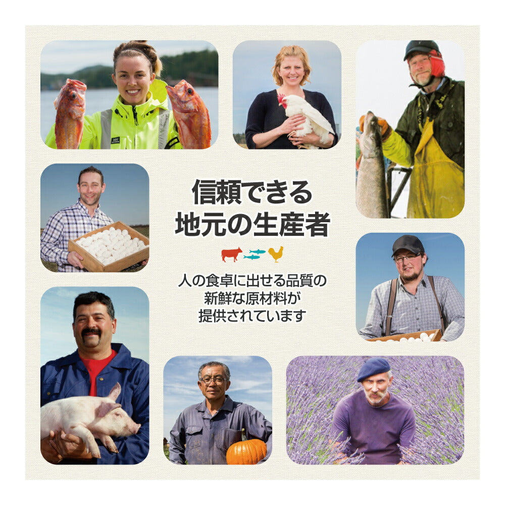 【2kg×4袋】アカナ シングル グラスフェッドラムレシピ (犬・ドッグ)[正規品]